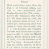 Pug.