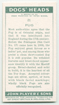 Pug.