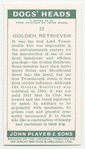 Golden Retriever.