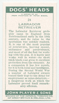 Labrador Retriever.