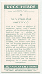 Old English Sheepdog.