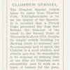 Clumber Spaniel.