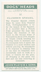 Clumber Spaniel.