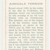 Airedale Terrier.