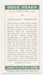 Airedale Terrier.