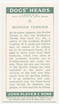 Border Terrier.