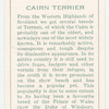 Cairn Terrier.