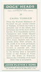 Cairn Terrier.