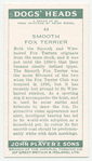 Smooth Fox Terrier.