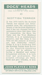 Scottish Terrier.