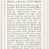 Sealyham Terrier.