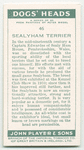 Sealyham Terrier.