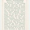 West Highland White Terrier.