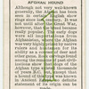 Afghan Hound.