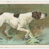 Pointer.