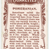 Pomeranian.