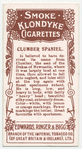 Clumber Spaniel.