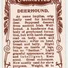 Deerhound.