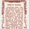 Great Dane.