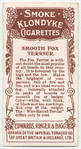 Smooth Fox Terrier.