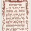 Retriever.