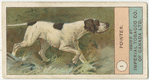 Pointer.