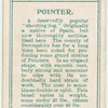 Pointer.
