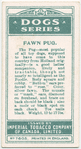 Fawn Pug.