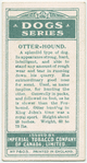 Otter-hound.