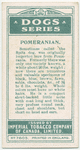 Pomeranian.
