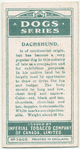 Dachshund.