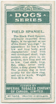 Field Spaniel.