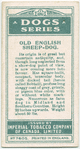 Old English Sheep-dog.