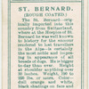 St. Bernard.