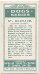 St. Bernard.