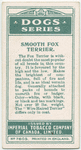 Smooth Fox Terrier.