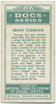 Irish Terrier.