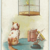 A bird fancier.