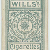 A safety match.