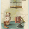 A bird fancier.
