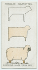 Index