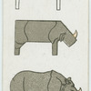 The rhinoceros.