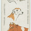 Heads of animals.