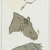 Heads of animals.