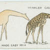 The giraffe.