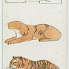 The tiger.