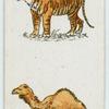 Tiger and camel.