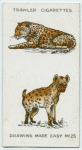 Leopard and spotted hyena.