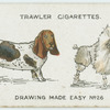 Basset-hound and French Poodle.
