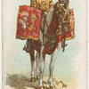 Drum horse, 1st Life Guards.